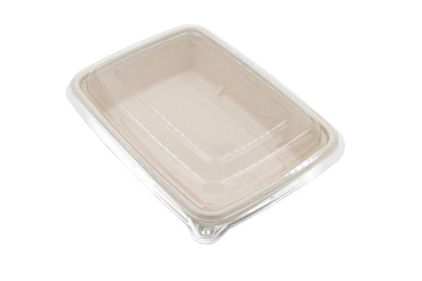 istock bagasse container food package isolated on white background 1410438970