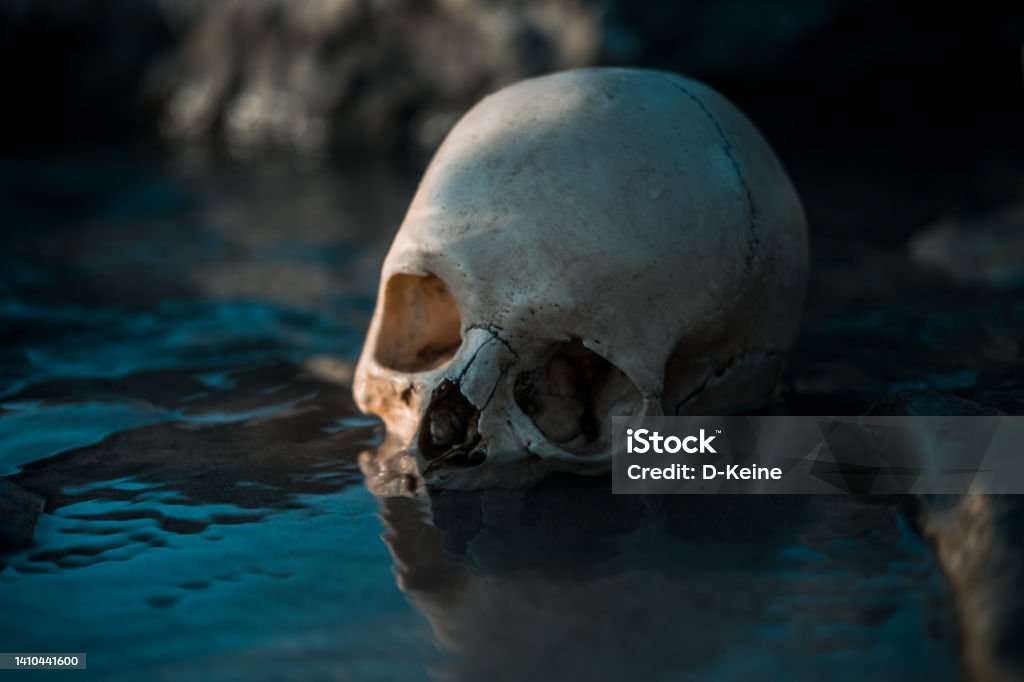 Skull Human skull in water 2022 Stock Photo