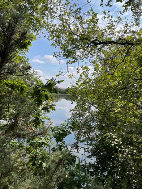 istock Idyllic View so pretty with the trees, blue sky and water 1410442718