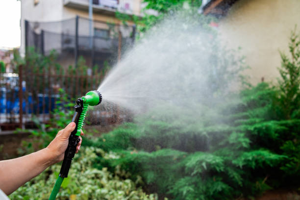 istock Unrecognizable female hands watering plants in garden 1410443858