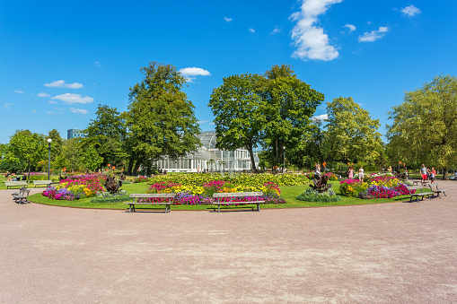 Gothenburg, Sweden - August 21, 2017: Flowering discounts in the Public Garden Society of Gothenburg in Sweden