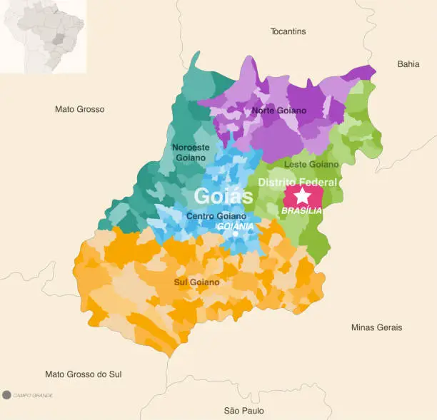 Vector illustration of Brazil states Goias and Distrito Federal administrative map showing municipalities colored by state regions (mesoregions)