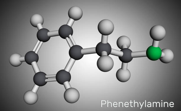 illustrazioni stock, clip art, cartoni animati e icone di tendenza di fenetilammina, molecola di pea. è un alcaloide monoamminico, stimolante del sistema nervoso centrale negli esseri umani. modello molecolare. rendering 3d - phenethylamine