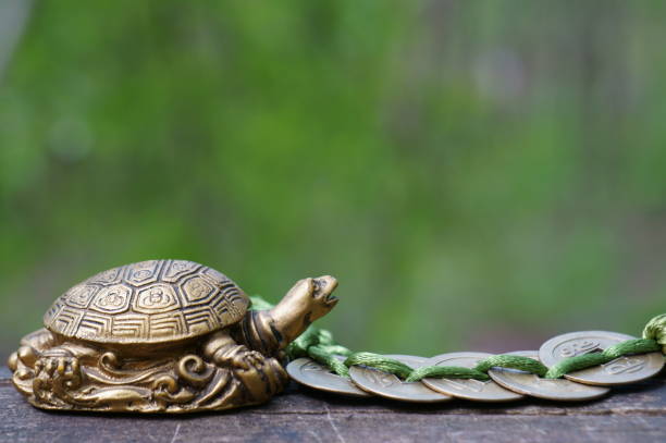 istock A metal turtle with Chinese coins. 1410451477