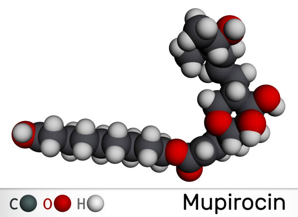 ilustrações, clipart, desenhos animados e ícones de molécula de mupirocina. é pomada antibacteriana usada para tratar impetigo e infecções de pele. modelo molecular. renderização 3d - staphylococcus aureus resistente à meticilina