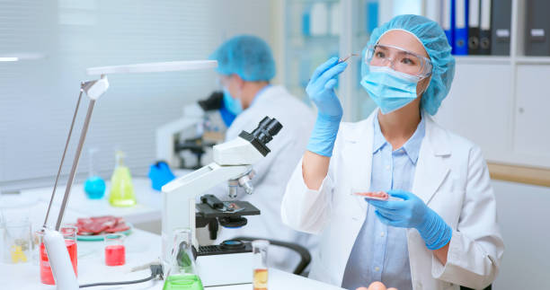 istock Food Safety Concept 1410453570