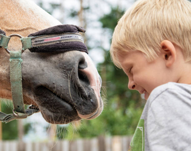 istock Boy with horse in farm 1410454881