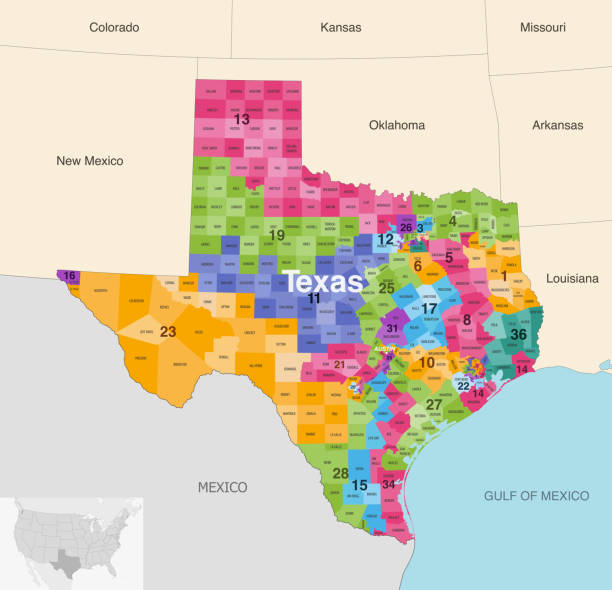 bildbanksillustrationer, clip art samt tecknat material och ikoner med texas state counties colored by congressional districts vector map with neighbouring states and terrotories - gulf coast states