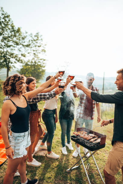 istock wine toasting in italy during the picnic 1410458187