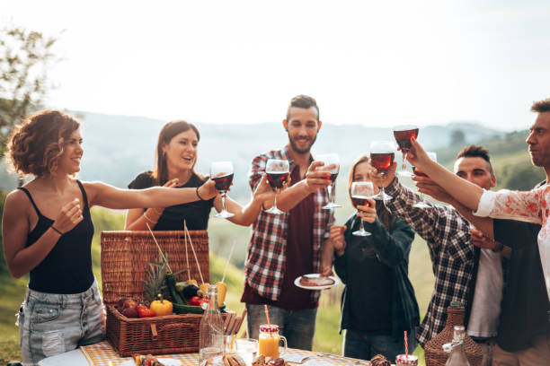 istock wine toasting in italy during the picnic 1410458269