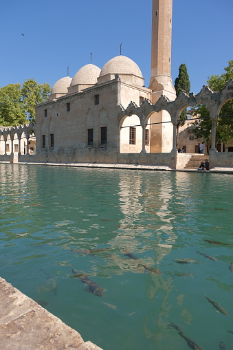 Şanlıurfa, Turkiye - July 12, 2022: Low angle view of balikligol, Urfa. HALL'R-RAHMN mosque and local fishes under river. Urfa. Turkey.