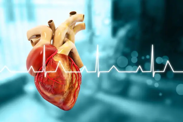 Photo of Human heart anatomy on blurred medical background. 3d illustration