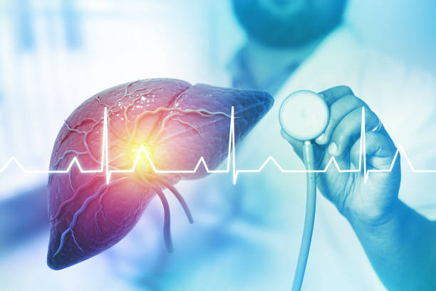istock Doctor check and diagnose the human liver on blurred background. 3d illustration 1410459797