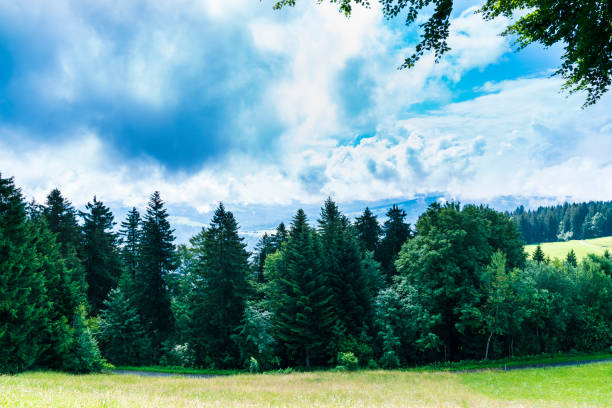 Germany, Panorama view above trees, forest and pastures on top of pfaender mountain peak with clouds and sun in allgaeu nature landscape