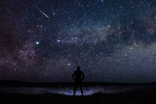 Man observing night sky in nature.