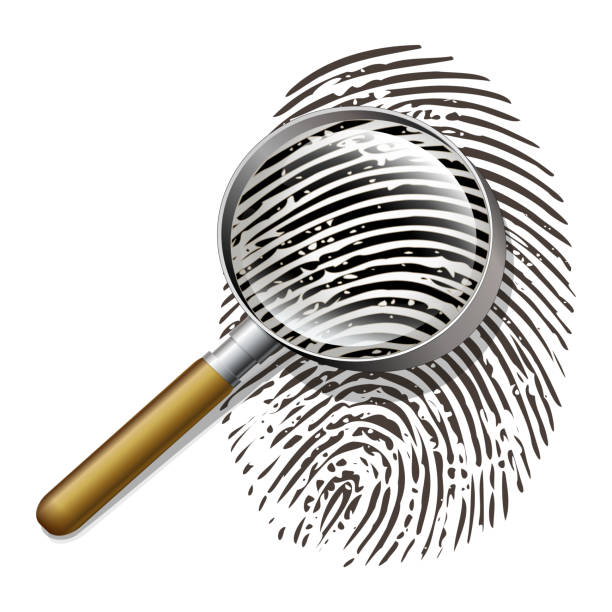Fingerprint under magnifying glass Fingerprint with a magnifying glass zooming in on part of the fingerprint on a white background crime scene investigation stock illustrations