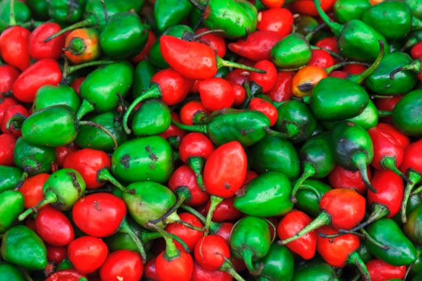 istock Red and green hot peppers background, selective focus. 1410474992