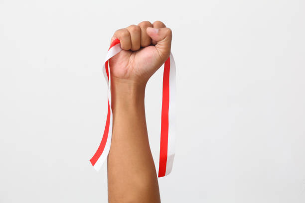The hands of a man holding a red and white ribbon as a symbol of the Indonesian flag. Isolated on gray background The hands of a man holding a red and white ribbon as a symbol of the Indonesian flag. Isolated on gray background only young men stock pictures, royalty-free photos & images