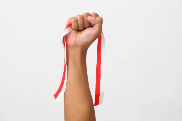 Photo of The hands of a man holding a red and white ribbon as a symbol of the Indonesian flag. Isolated on gray background