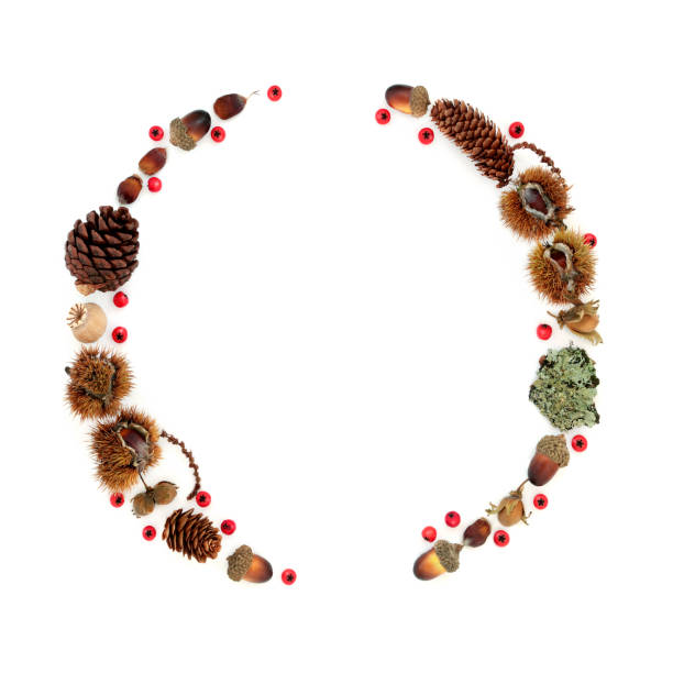 istock Autumn Wreath Natural Flora and Red Berries 1410477444