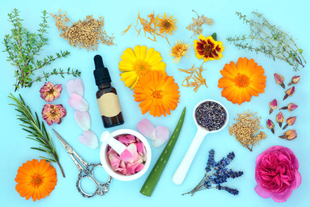istock Aromatherapy Essential Oil Preparation for Skincare 1410477527