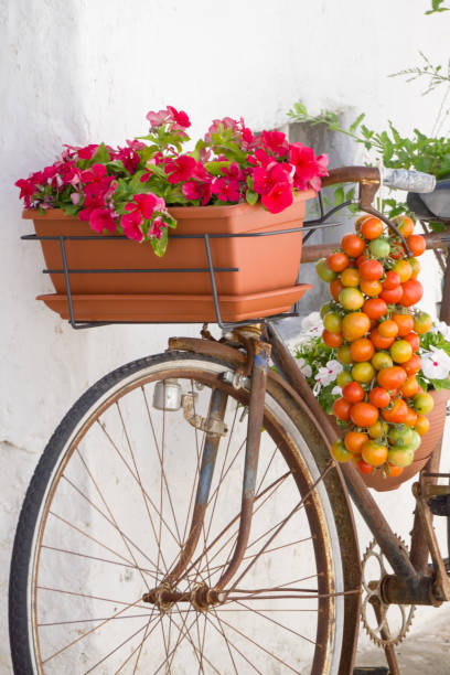 istock Alberobello in Bari Puglia Italy 1410482651