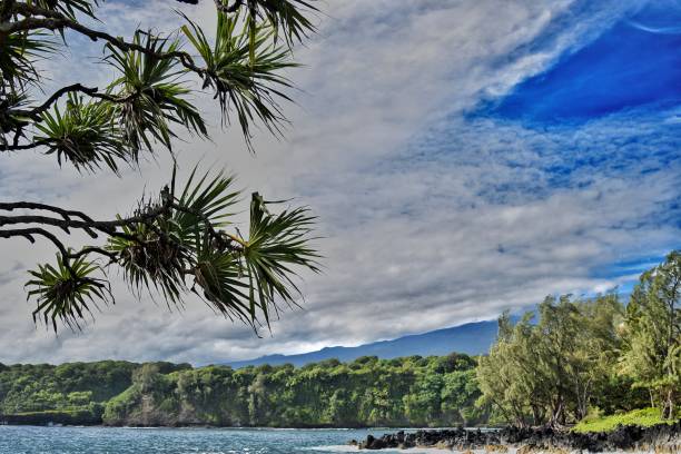 istock The Road to Hana 1410484404