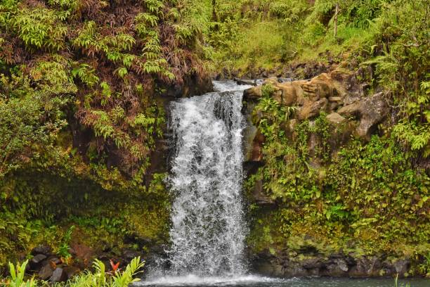 istock The Road to Hana 1410484432