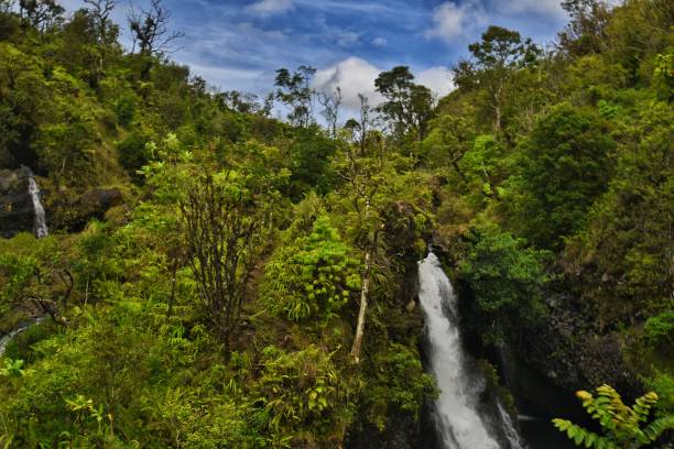 istock The Road to Hana 1410484437