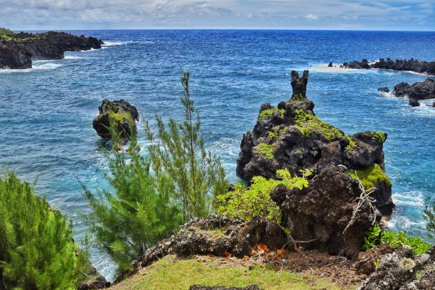 istock The Road to Hana 1410484450