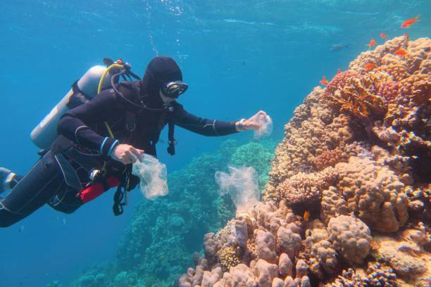Man scuba diver cleaning plastic from the tropical coral reef. World ocean contaminated by plastic. Man scuba diver cleaning plastic from the tropical coral reef. World ocean contaminated by plastic. Environment pollution concept. plastic marine life stock pictures, royalty-free photos & images