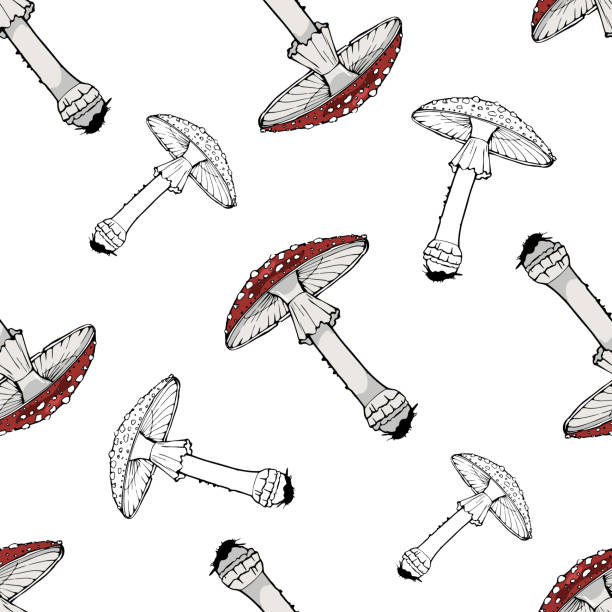 아마니타 이음새가 없는 패턴 - 독우산광대버섯 stock illustrations