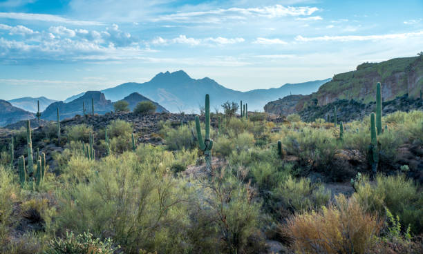 istock Superstition wilderness with four peaks mountain range in distance 1410492066