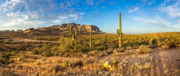 vista panoramica delle montagne della superstizione durante l'alba - panoramic wild west desert scenics foto e immagini stock