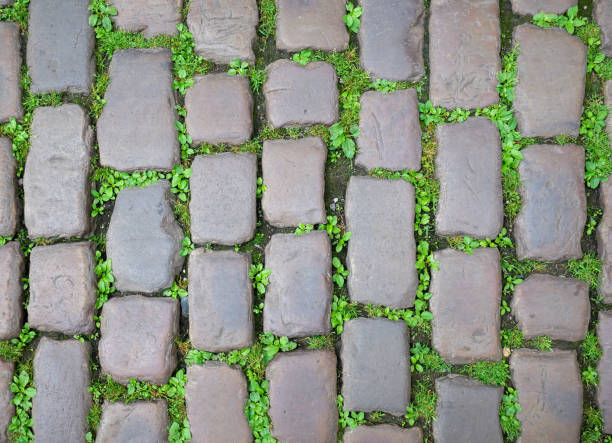 Old Cobblestone pavement street with green grass growing between the stones.