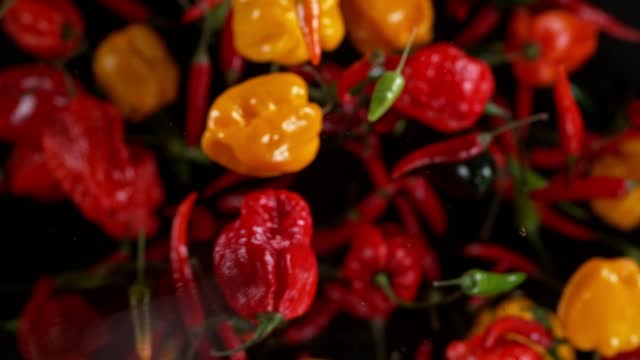 Super slow motion of flying various kinds of chilli peppers.