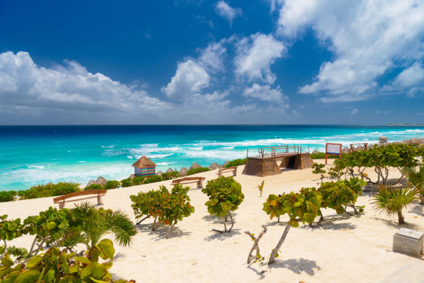 istock Sandy beach with azure water on a sunny day near Cancun, Mexico 1410500103