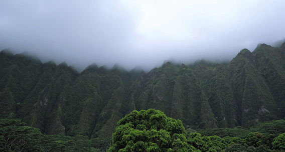 Various views of the Ko'olau mountain range on the windward side of Oahu, HI.  Clouds normally sit on the tops and it rains each day thus green lush vegetation covers the mountains.