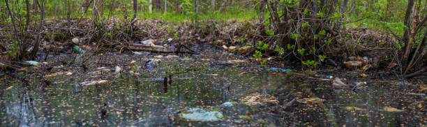 istock Garbage floats on surface of water in pond. 1410503786