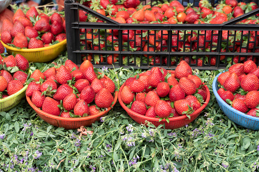 Strawberry sstall in the Souk of Marrakesh Morocco