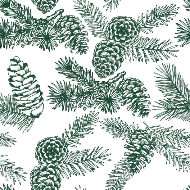 seamless christmas pattern. vintage drawing in sketch style. spruce branches and cones. Christmas tree. seamless christmas pattern. vintage drawing in sketch style. spruce branches and cones. Christmas tree. evergreen plant stock illustrations