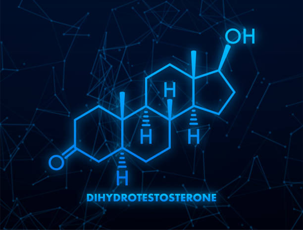 Dihydrotestosterone DHT, androstanolone, stanolone hormone molecule. Skeletal formula. Vector stock illustration vector art illustration