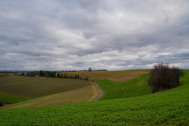istock Agriculture fields with a cloudy sky in november 1410512857