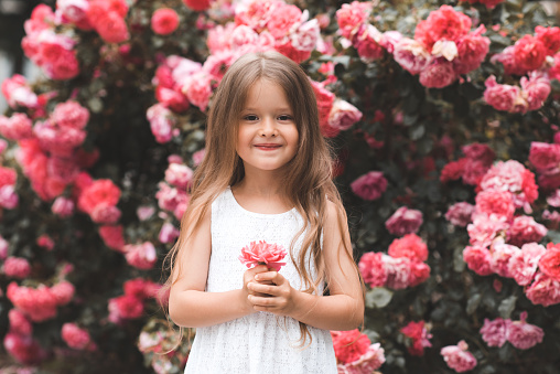 Cute baby girl 4-5 year old with long blonde hair posing over pink rose flowers at background close up. Springtime. Smiling kid over blooming bushes in garden. Summer season. Happiness.