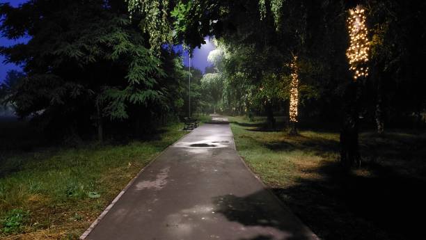 istock Street view city park 1410517169