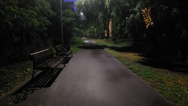 istock Street view city park 1410517190