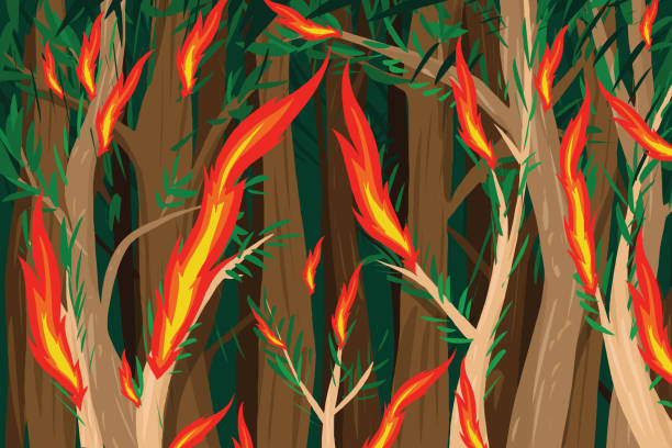 ilustrações de stock, clip art, desenhos animados e ícones de forest fire - changing form change backgrounds leaf