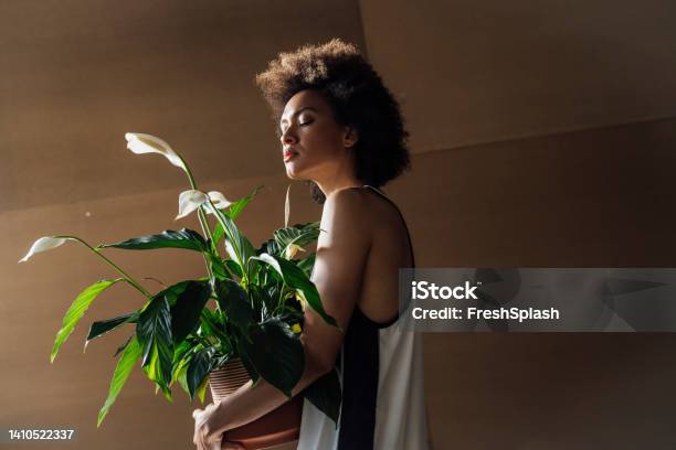 A Serious Woman Holding Beautiful White Flowers With Big Leaves And Watching It Stock Photo - Download Image Now