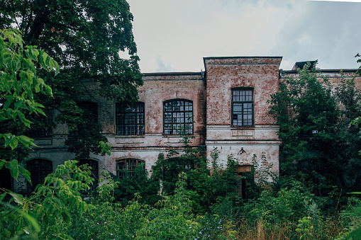 Ruined overgrown Mental hospital in Orlovka, Voronezh region, green post-apocalyptic concept.
