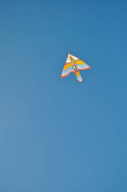 istock Kite in shape of eagle. Blue sky background. Copy space 1410524698